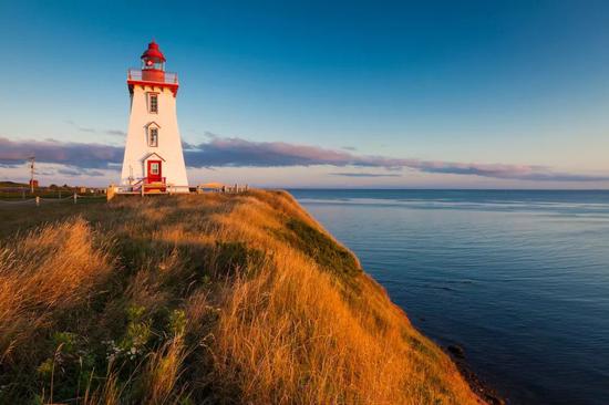 烤箱烤饼干用什么纸 温度和时间介绍