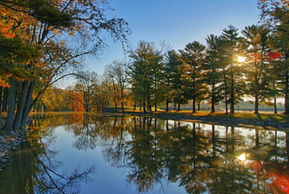 <b>杨梅渡古樟群</b>