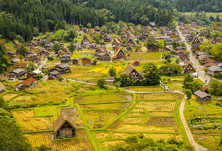 <b>冬季旅游景点排行</b>