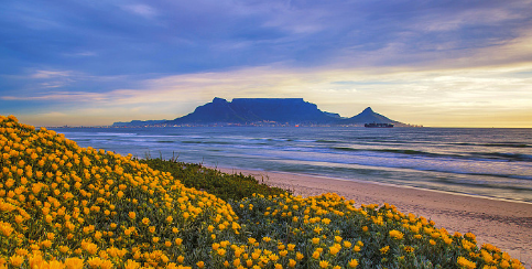 <b>“山中牛姆林 快活似神仙”：晋江牛姆林</b>